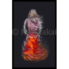 Spanish Dancer